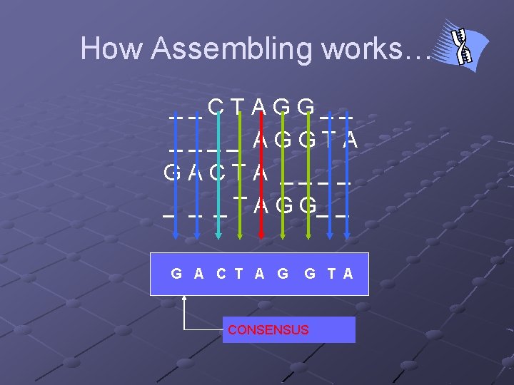 How Assembling works… __CTAGG__ ____ AGGTA GACTA ____ _ T A G G_ _