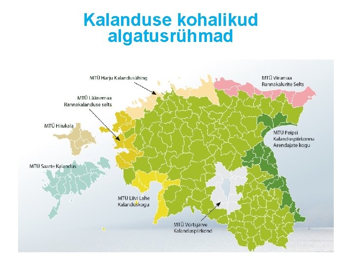 Kalanduse kohalikud algatusrühmad 