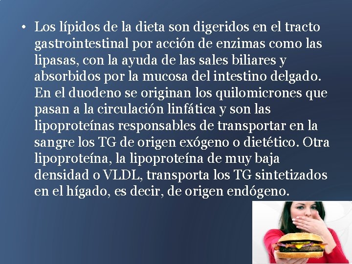  • Los lípidos de la dieta son digeridos en el tracto gastrointestinal por