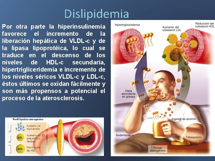 Dislipidemia Por otra parte la hiperinsulinemia favorece el incremento de la liberación hepática de