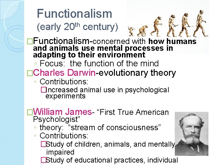 Functionalism (early 20 th century) �Functionalism-concerned with how humans and animals use mental processes
