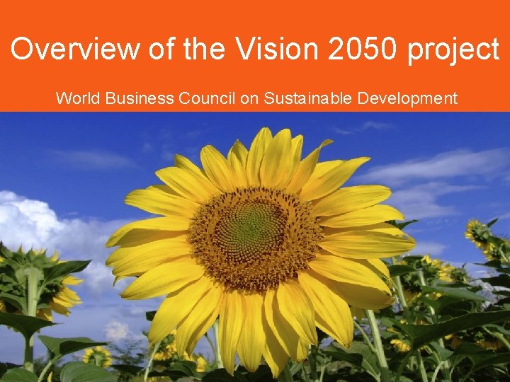 Overview of the Vision 2050 project World Business Council on Sustainable Development 