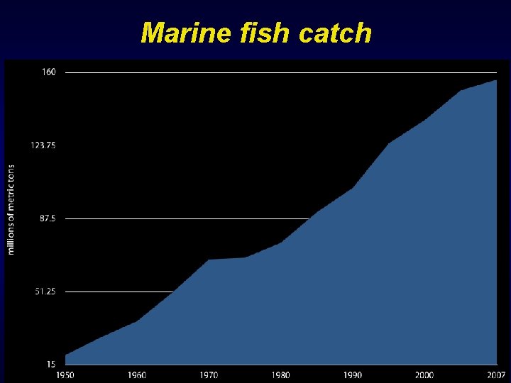 Marine fish catch 