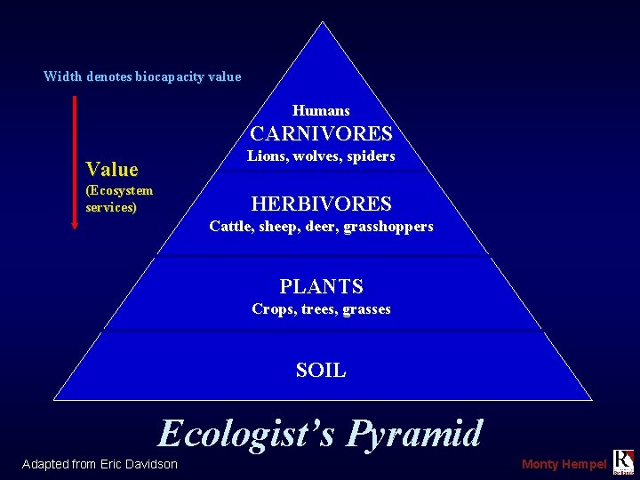 Width denotes biocapacity value Humans CARNIVORES Lions, wolves, spiders Value (Ecosystem services) HERBIVORES Cattle,