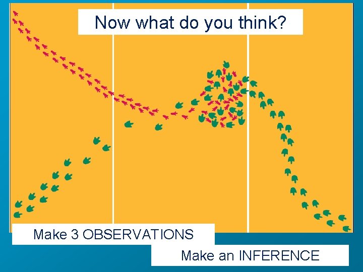 Now what do you think? Make 3 OBSERVATIONS Make an INFERENCE 