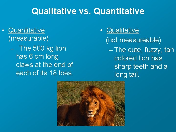 Qualitative vs. Quantitative • Quantitative (measurable) – The 500 kg lion has 6 cm