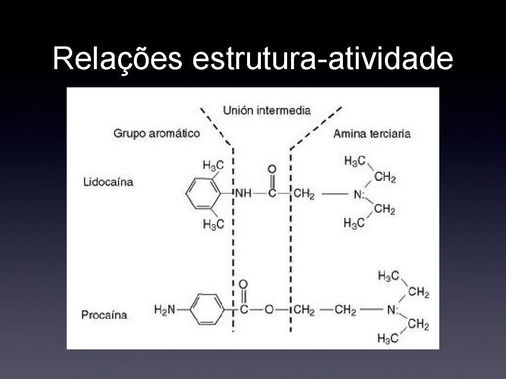 Relações estrutura-atividade 