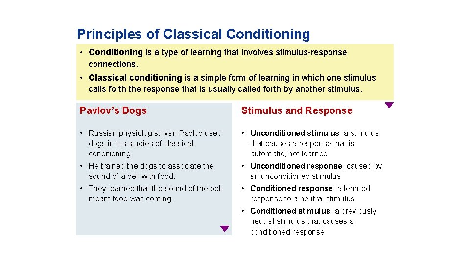 Principles of Classical Conditioning • Conditioning is a type of learning that involves stimulus-response