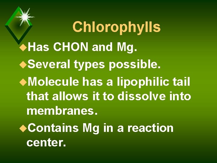Chlorophylls u. Has CHON and Mg. u. Several types possible. u. Molecule has a