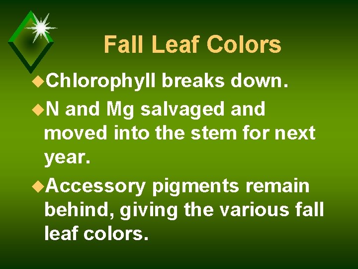 Fall Leaf Colors u. Chlorophyll breaks down. u. N and Mg salvaged and moved