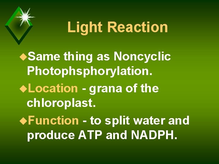 Light Reaction u. Same thing as Noncyclic Photophsphorylation. u. Location - grana of the