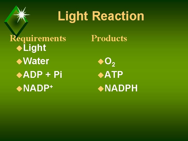 Light Reaction Requirements u. Light u. Water u. ADP + Pi u. NADP+ Products