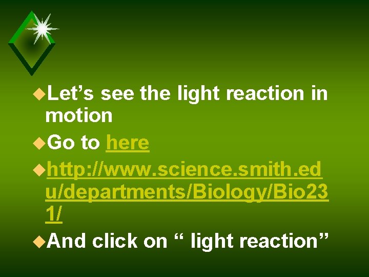 u. Let’s see the light reaction in motion u. Go to here uhttp: //www.