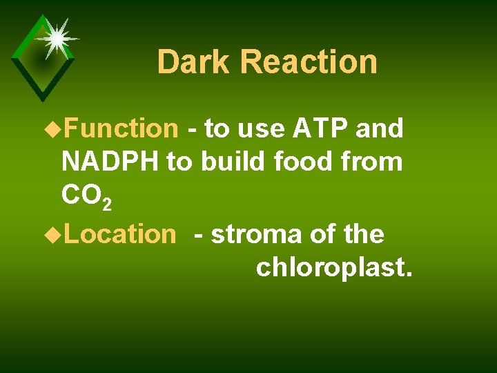 Dark Reaction u. Function - to use ATP and NADPH to build food from