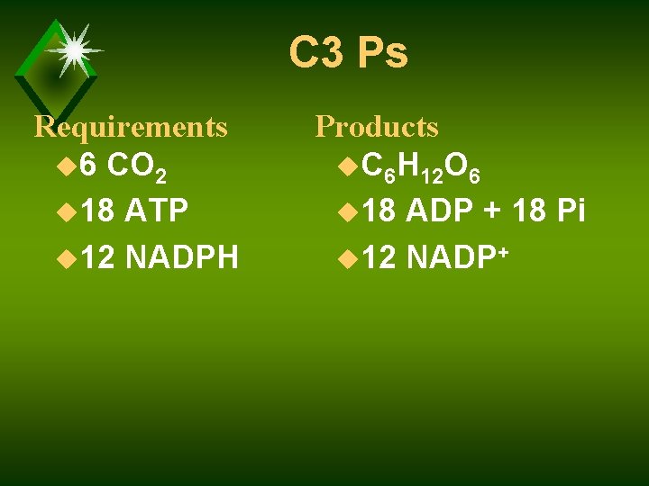 C 3 Ps Requirements u 6 CO 2 u 18 ATP u 12 NADPH