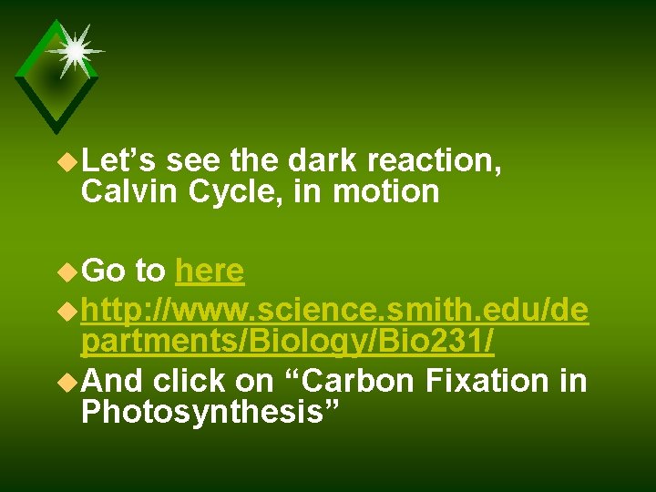 u. Let’s see the dark reaction, Calvin Cycle, in motion u. Go to here