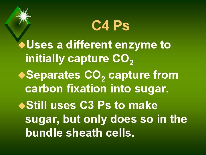 C 4 Ps u. Uses a different enzyme to initially capture CO 2 u.