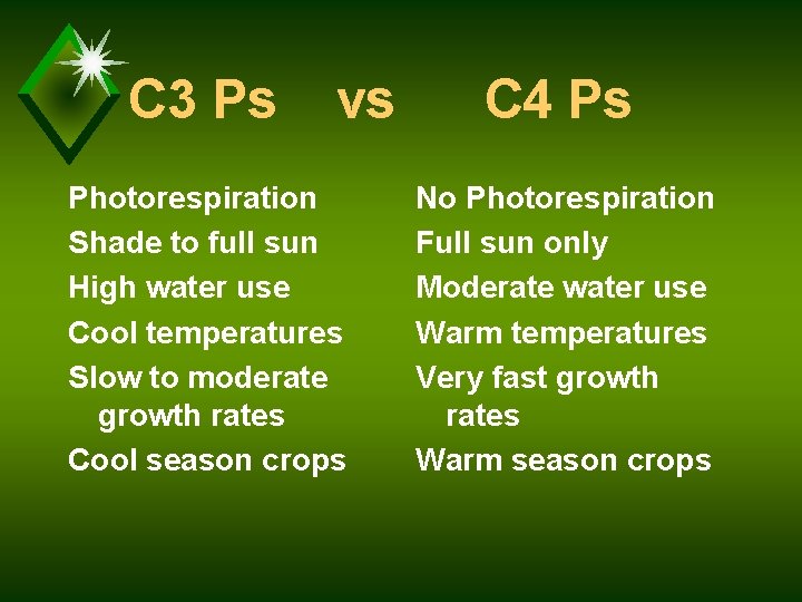 C 3 Ps vs Photorespiration Shade to full sun High water use Cool temperatures