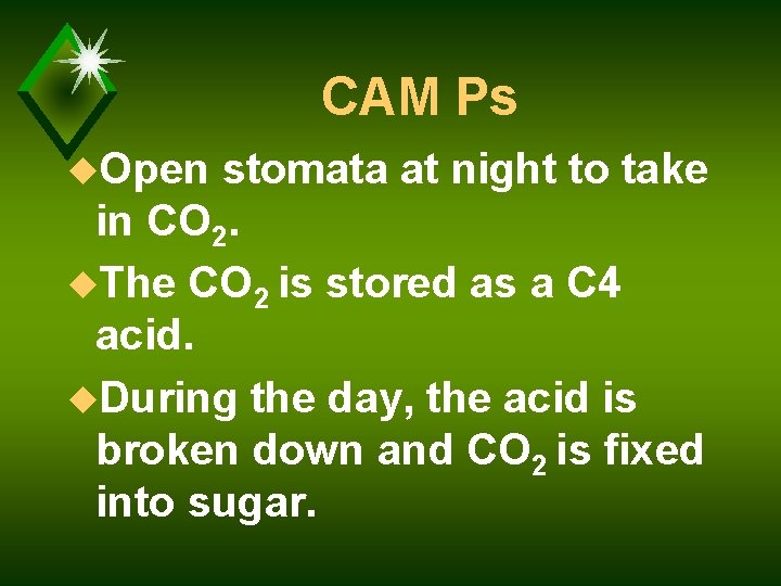 CAM Ps u. Open stomata at night to take in CO 2. u. The