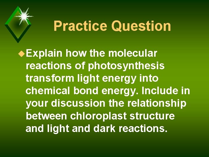 Practice Question u. Explain how the molecular reactions of photosynthesis transform light energy into