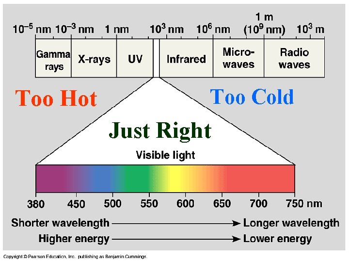 Too Hot Too Cold Just Right 