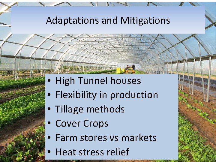 Adaptations and Mitigations • • • High Tunnel houses Flexibility in production Tillage methods