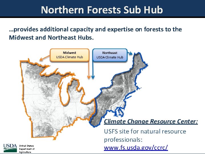Northern Forests Sub Hub …provides additional capacity and expertise on forests to the Midwest