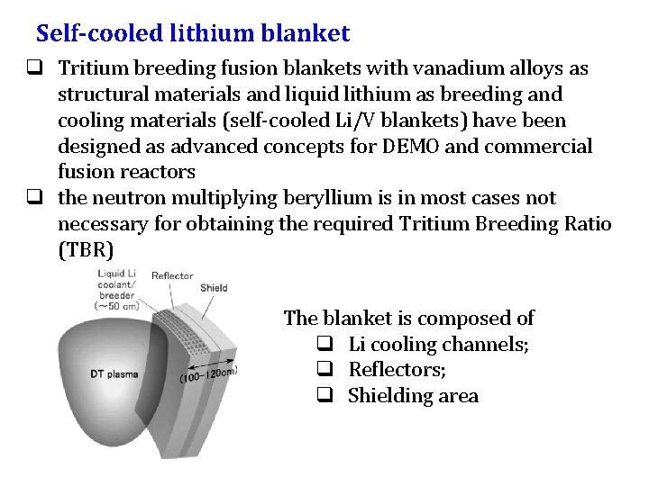 Self-cooled lithium blanket q Tritium breeding fusion blankets with vanadium alloys as structural materials