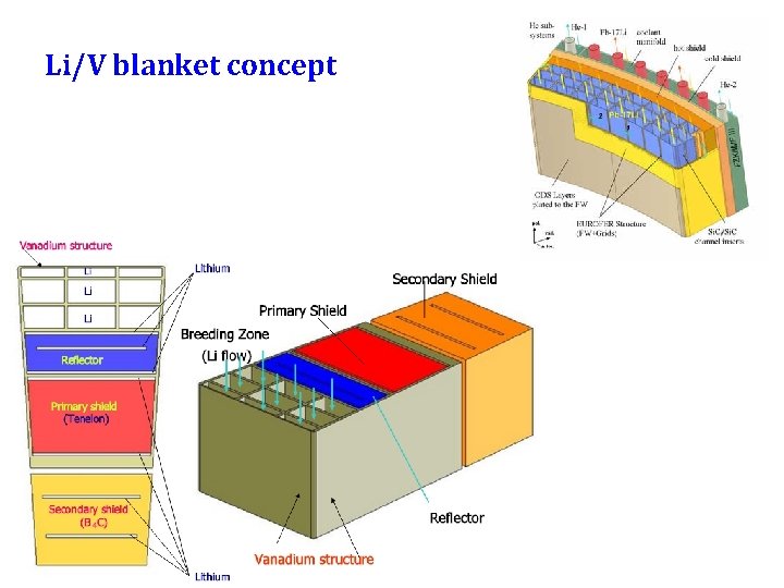 Li/V blanket concept 