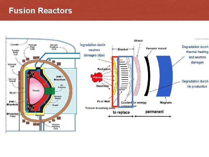 Fusion Reactors 