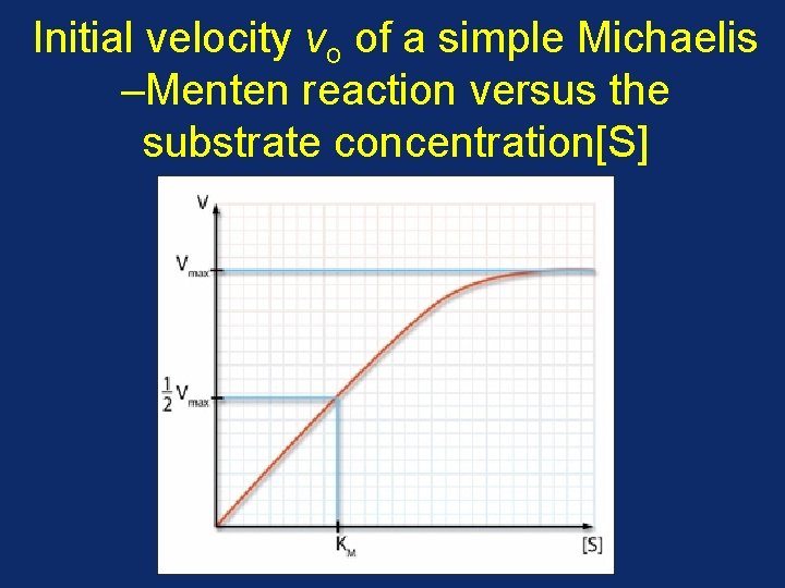 Initial velocity vo of a simple Michaelis –Menten reaction versus the substrate concentration[S] 