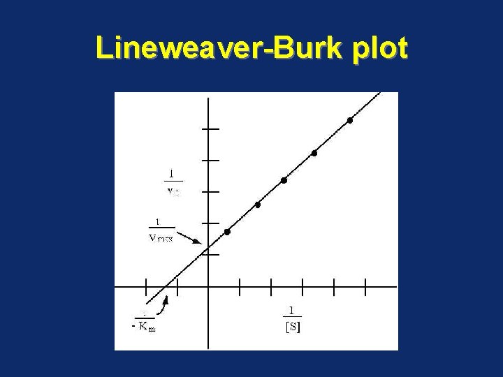 Lineweaver-Burk plot 