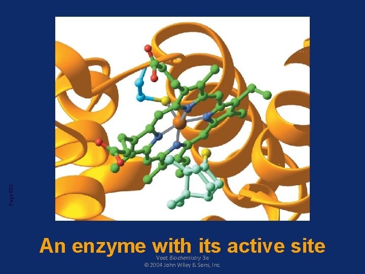Page 533 An enzyme with its active site Voet Biochemistry 3 e © 2004