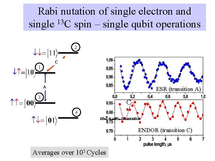 Rabi nutation of single electron and single 13 C spin – single qubit operations