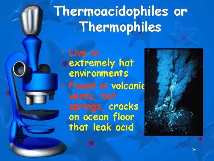 Thermoacidophiles or Thermophiles • Live in extremely hot environments • Found in volcanic vents,