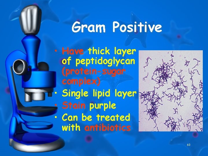 Gram Positive • Have thick layer of peptidoglycan (protein-sugar complex) • Single lipid layer