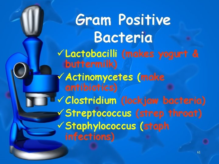 Gram Positive Bacteria ü Lactobacilli (makes yogurt & buttermilk) ü Actinomycetes (make antibiotics) ü