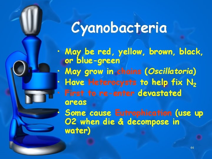 Cyanobacteria • May be red, yellow, brown, black, or blue-green • May grow in