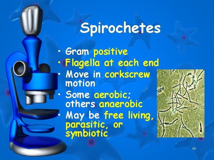 Spirochetes • • • Gram positive Flagella at each end Move in corkscrew motion