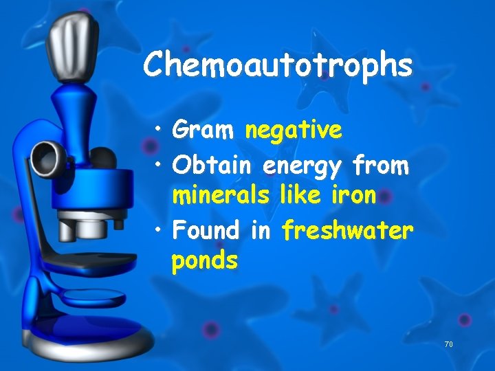 Chemoautotrophs • • Gram negative Obtain energy from minerals like iron • Found in