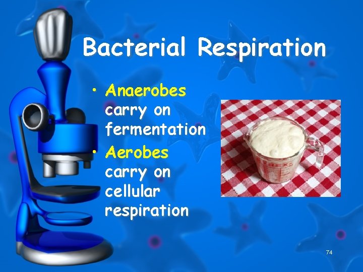 Bacterial Respiration • Anaerobes carry on fermentation • Aerobes carry on cellular respiration 74