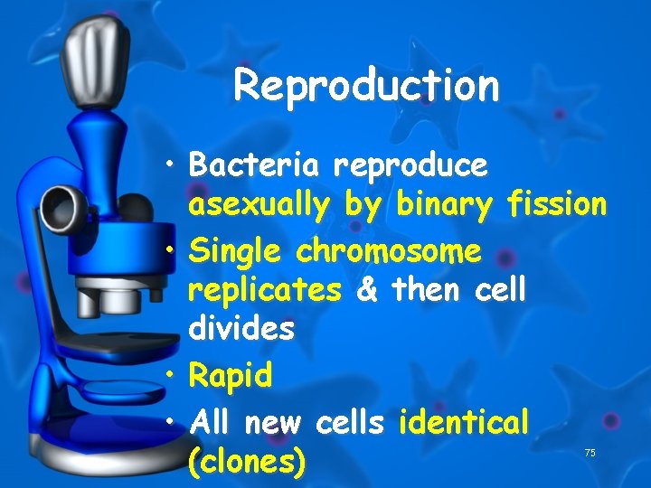 Reproduction • Bacteria reproduce asexually by binary fission • Single chromosome replicates & then
