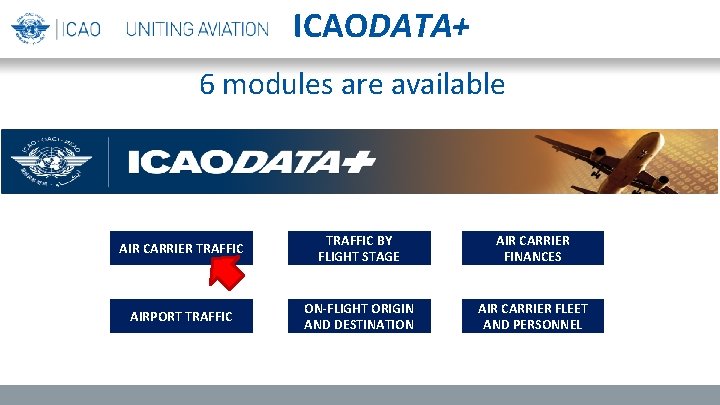 ICAODATA+ 6 modules are available AIR CARRIER TRAFFIC BY FLIGHT STAGE AIR CARRIER FINANCES