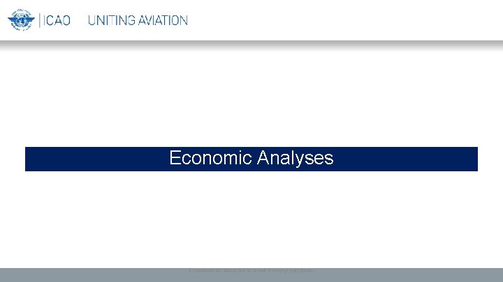 Economic Analyses 