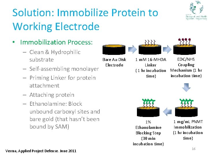 Solution: Immobilize Protein to Working Electrode • Immobilization Process: – Clean & Hydrophilic substrate