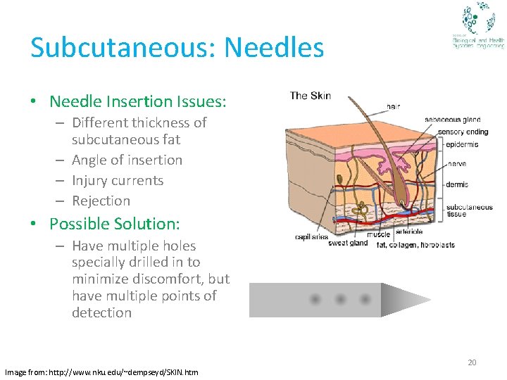 Subcutaneous: Needles • Needle Insertion Issues: – Different thickness of subcutaneous fat – Angle