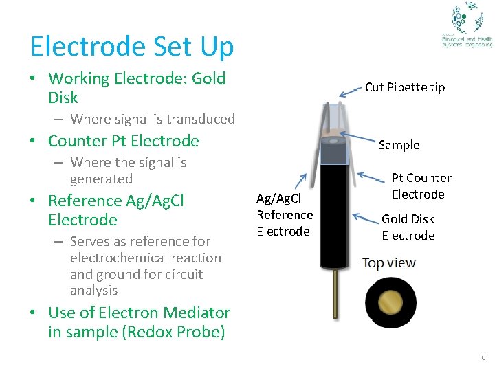 Electrode Set Up • Working Electrode: Gold Disk Cut Pipette tip – Where signal