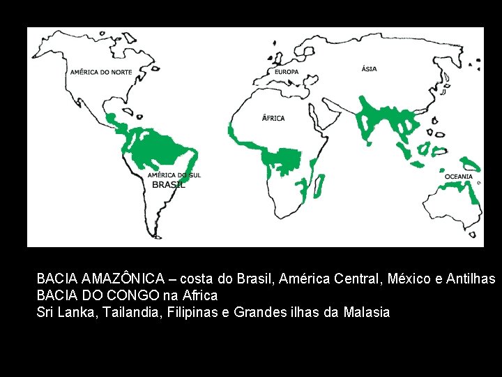 BACIA AMAZÔNICA – costa do Brasil, América Central, México e Antilhas BACIA DO CONGO