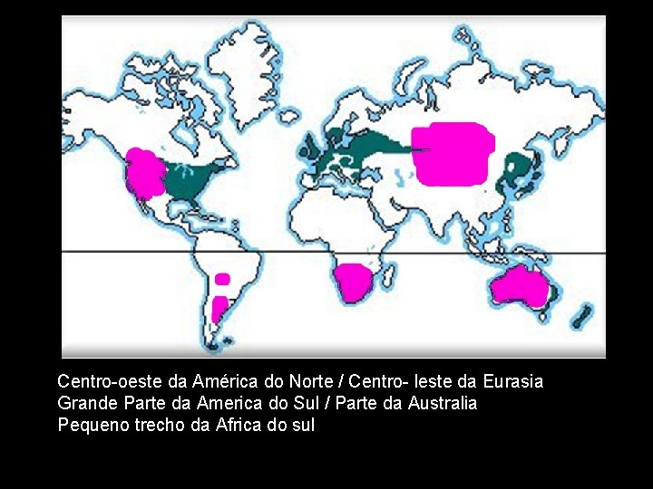 Centro-oeste da América do Norte / Centro- leste da Eurasia Grande Parte da America