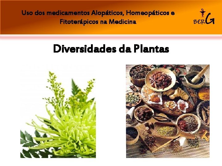 Uso dos medicamentos Alopáticos, Homeopáticos e Fitoterápicos na Medicina Diversidades da Plantas 